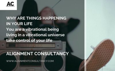 Vibrational Universe